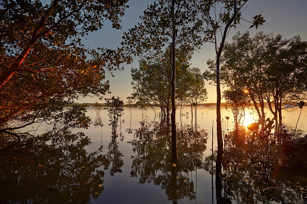 ICHTHYS Monitoring The Environment